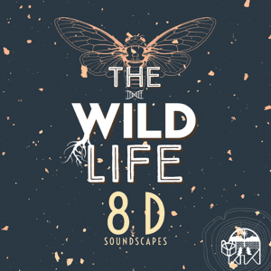 The Wild Life: 8D Soundscapes by The Wild Life