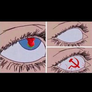 YellowParenti by Vera Lynn