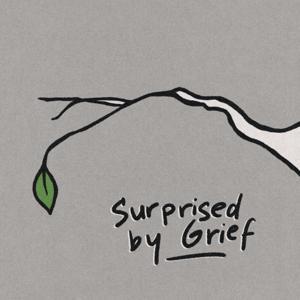 Surprised by Grief by Christianity Today