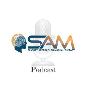 Sensory Approach to Manual Therapy by Troy Lavigne