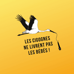 Les Cigognes ne livrent pas les bébés by lescigognes_ansfl