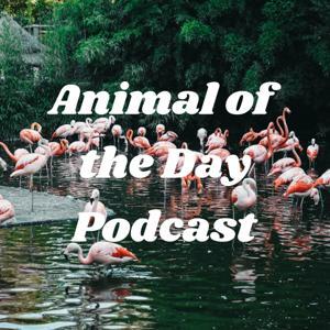 Animal of the Day Podcast by Animal of the Day Podcast