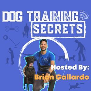 Dog Training Secrets by Dog Training Secrets