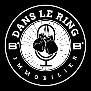 DANS LE RING IMMOBILIER by dansleringimmobilierpodcast