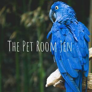 The Pet Room Jen by jen logreco