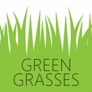 Green Grasses by Cameron and Karla