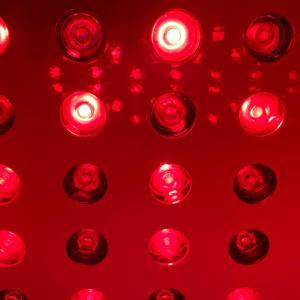 SALUTE E BIOHACKING by Vanessa Bertinotti