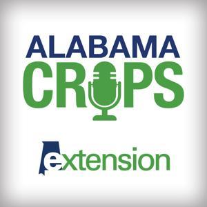 Alabama Crops Report by Alabama Cooperative Extension System