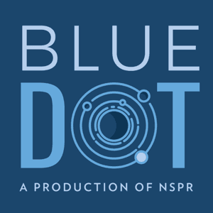 Blue Dot by Dave Schlom, Matt Fidler