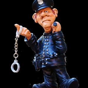 CRAZY COP STORIES by Circle Of Insight Productions