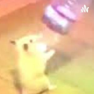 HAMSTER POTCAST NR.1 by Nevio Schmidt