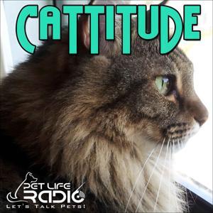 Cattitude -  The #1 Cat Podcast About Cats As Pets-  Pet Life Radio Original (PetLifeRadio.com) by Mark Winter