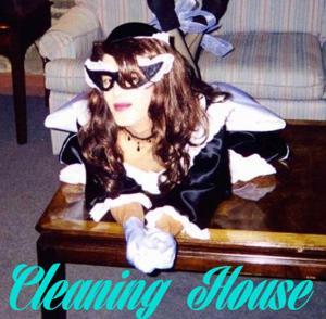 Cleaning House by Real Housemaids