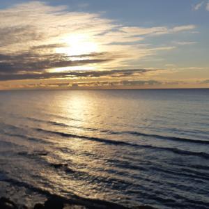 Porn To Paradise: My Journey From Self-Indulgence To Meaning, Beauty & Something Bigger Than Myself by H bop beep boop