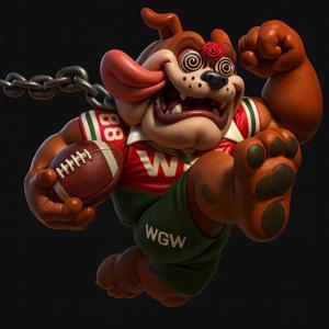 Wizeguyz & Fantasy Football by WGW Network LLC