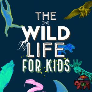 The Wild Life for KIDS! by The Wild Life