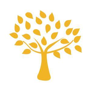 Mindity by Arman Samary