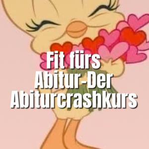 Fit für's Abitur: Der Abuturcrashkurs + Jura Guide by Maggie