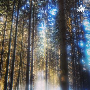 Forêt Primaire : Rencontre Avec Francis Hallé by Antoine Soustre