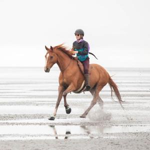 Making Milestones by Shelby Dennis