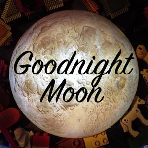Goodnight Moon by The Nerd Party