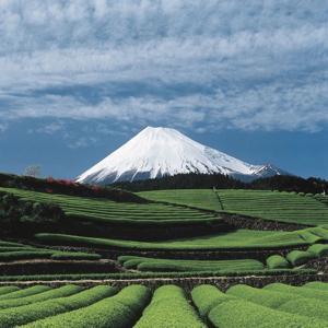 Konichiwa – der Japan Podcast mit Sven Meyer und Andy Janz by Sven Meyer und Andy Janz