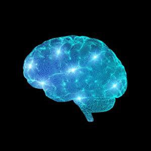 Emprendimiento Digital by Felipe corona