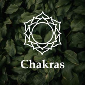 Meditação Guiada - Equilíbrio dos chakras by Tauan Carvalho