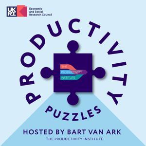 Productivity Puzzles by The Productivity Institute
