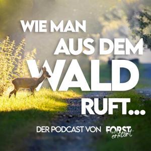 Wie man aus dem Wald ruft... by Forst erklärt