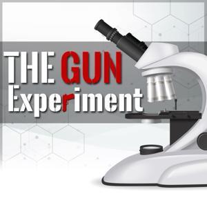 The Gun Experiment by thegunexperiment
