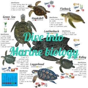 Dive into Marine biology by Gledis Guri
