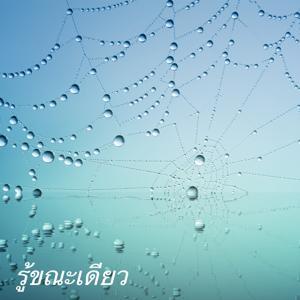 รู้ขณะเดียว by พระอาจารย์กระสินธุ์ อนุภัทโท