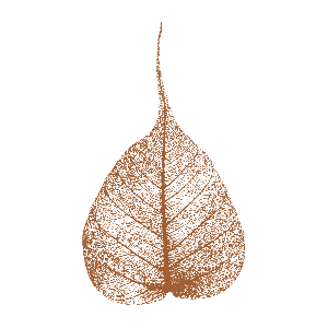 Dhammatalks.org Short Morning Talks by Thanissaro Bhikkhu