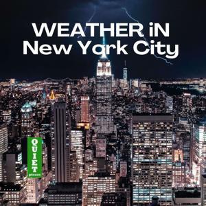 Weather in New York City by Inception Point Ai