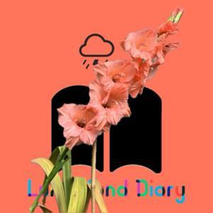 Luke Hand Diary by Luke Hand