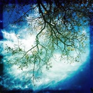 Testing Podcasts by This is Todd entering a custom value for Author