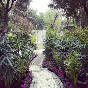 Kya Tumne Bhi Suna by RAGINI TYAGI