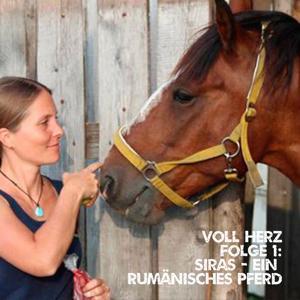 Voll Herz - der emotionale Tierschutz-Podcast des Förderverein Arche Noah Kreta e.V. by Förderverein Arche Noah Kreta e.V
