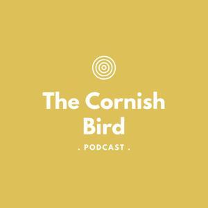 The Cornish Bird by thecornishbird