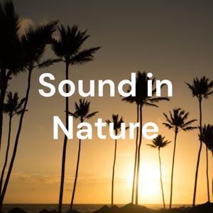 Sound in Nature Lite by SoundInNature