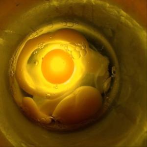 Revuelto de historias by Pablo Fazio Casalis