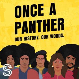 Once a Panther by Stuff Audio