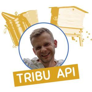 Tribu Api par Mes Premières Ruches by Guillaume Salle