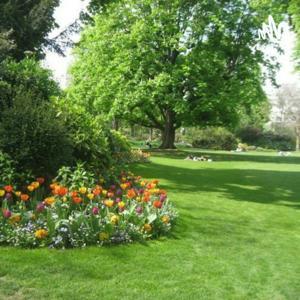 Memoriser La Langue Francaise by Pauline Nguyen