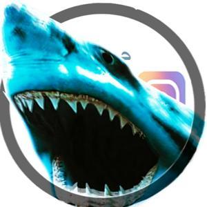 Me versus Tony by fefe