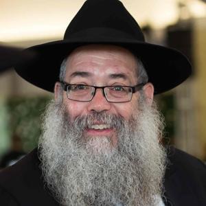 The Rebbe’s advice  - Rabbi Chaim Wolosow by Rabbi Chaim Wolosow