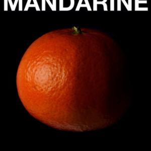 MANDARINE, la photo par Initial Labo by Léonard Pauchon