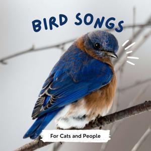 Bird Songs for Cats by Inception Point Ai
