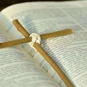 The Bible Project Daily Podcast by Pastor Jeremy R McCandless